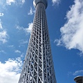 20160829_133147.jpg