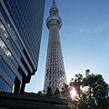 20160829_160415.jpg