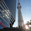 20160829_160423.jpg