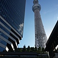 20160829_160506.jpg