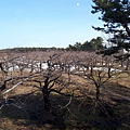 20170315_134112.jpg