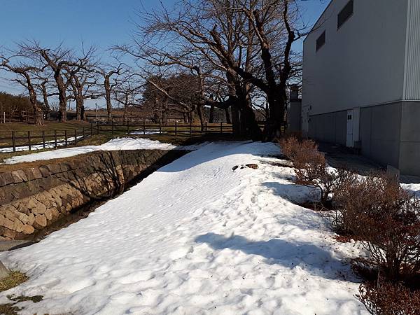 20170315_141724.jpg