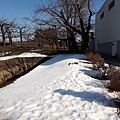 20170315_141724.jpg