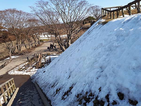 20170315_142828.jpg