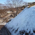 20170315_142828.jpg