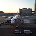 20170908_180449.jpg