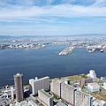 20170909_130949.jpg