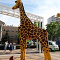 20170909_143156.jpg