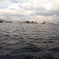 20170909_161819.jpg