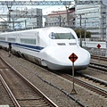 P1000679.JPG