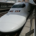 P1000680.JPG