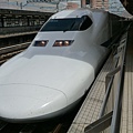 P1000683.JPG