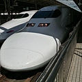 P1000690.JPG