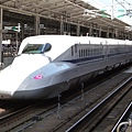 P1000696.JPG