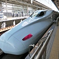 P1000699.JPG