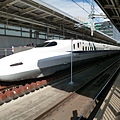 P1000704.JPG
