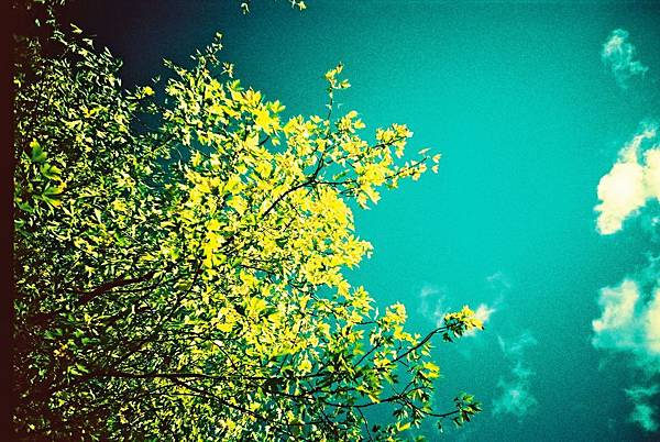 lomo_xpro_fuji_57724_o