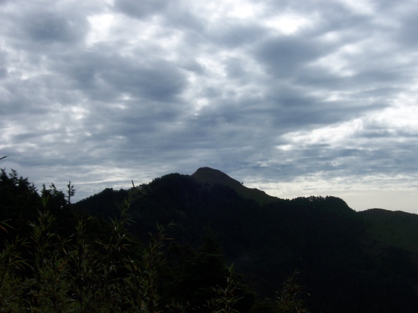 100_2064.jpg 100_2064.jpg