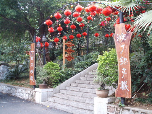 p122524968164.jpg