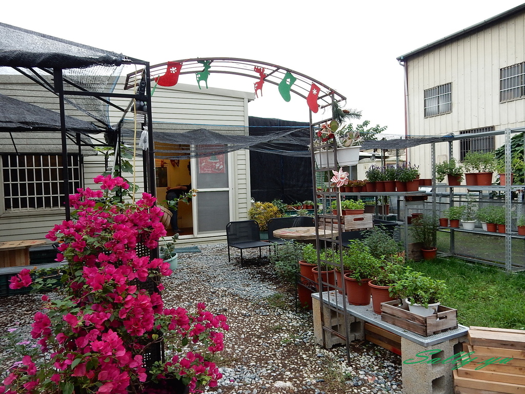 DSCN9822.JPG DSCN9822.JPG