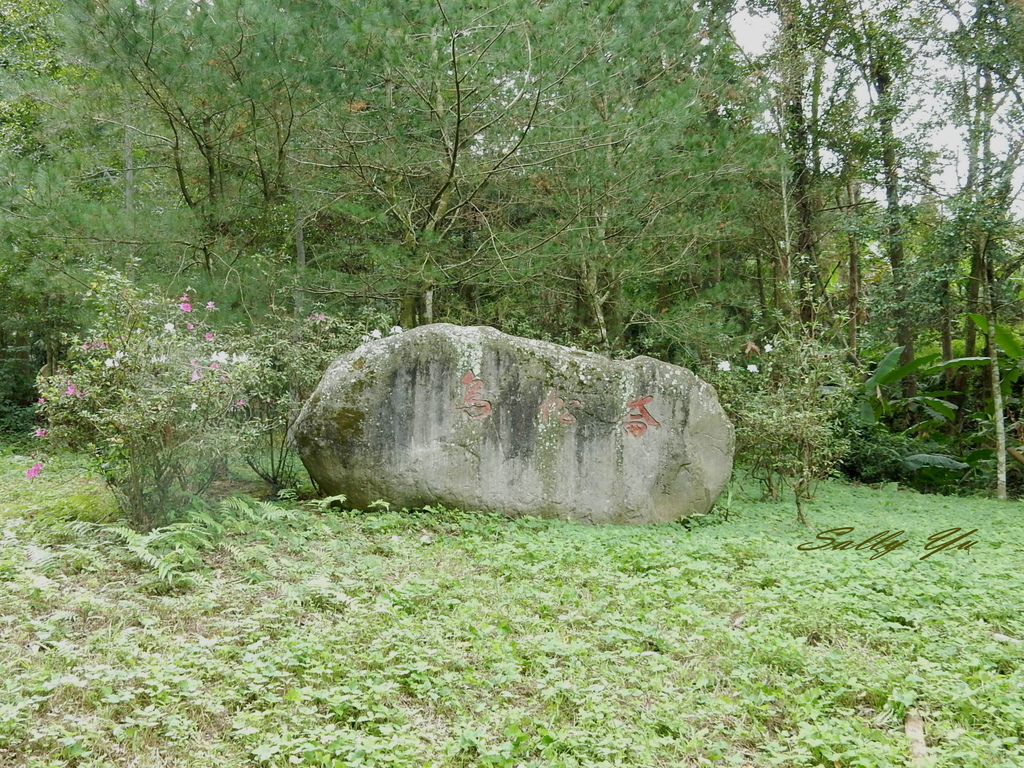 DSCN2222.jpg DSCN2222.jpg