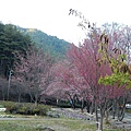 DSCN3859.jpg