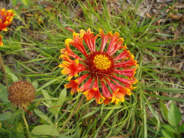 P5160142.jpg