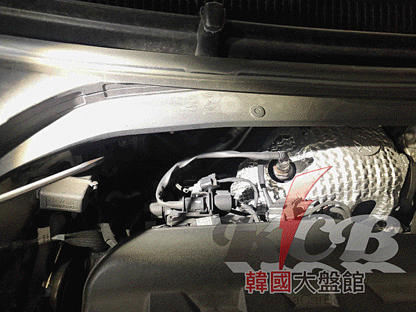 IMG_5187_结果.gif