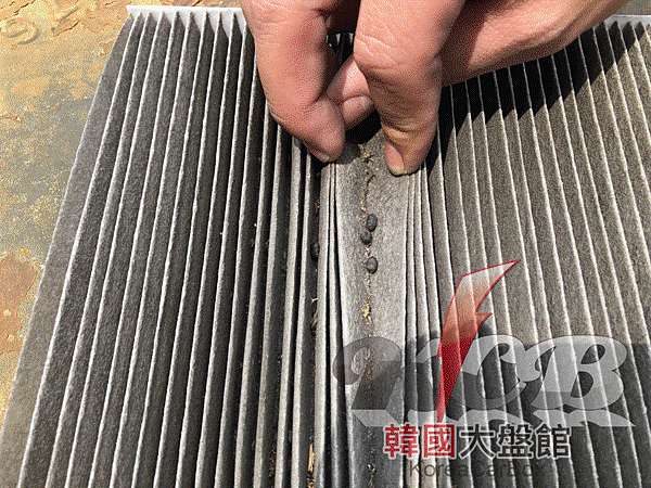 IMG_5634_结果.gif