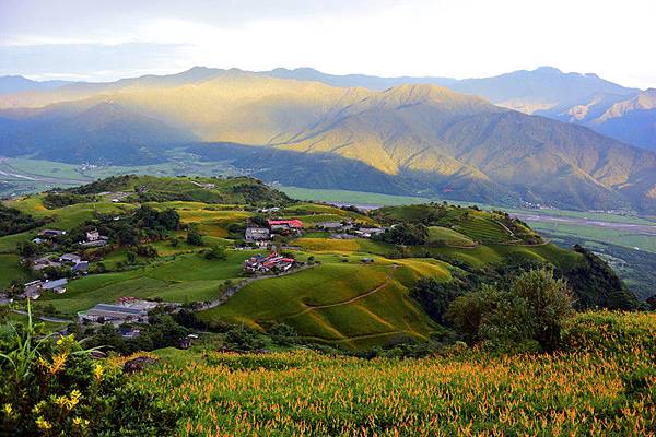 花蓮景點,金針花,六十石山,赤柯山,日出,花蓮戶外休閒