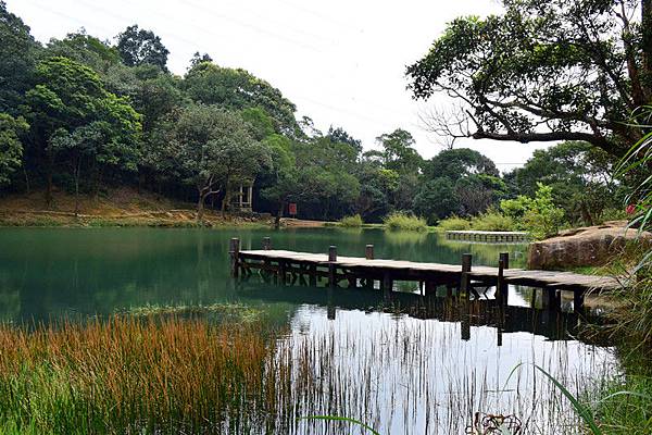 新山夢湖,夢湖,新山,汐止,堰塞湖,湖岸咖啡,新山東稜,新北,登山步