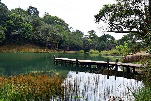 新北,新山夢湖,登山步道,新北景點