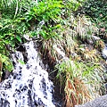 20201101_112034.jpg