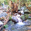 20201101_120538.jpg