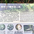 20201101_122414.jpg