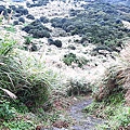 20201101_122738.jpg