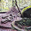 20201101_142458.jpg