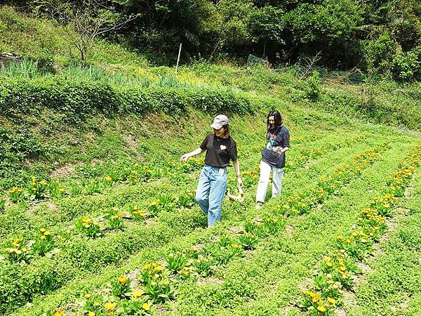 將記就記7：送漢堡到方濟幼兒園！漢堡工坊公益旅行團2O24年