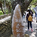 P1110496