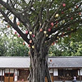 P1130817