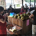P1140800.JPG