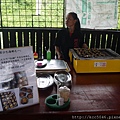 P1140799.JPG