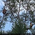 P1140865-IMG_3212.JPG