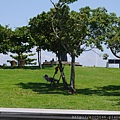 P1150168.JPG
