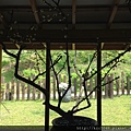 IMG_3877.JPG