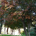 P1090779.JPG