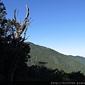 P1090803.JPG