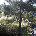 P1090833.JPG
