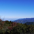 P1090888.JPG