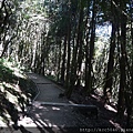 P1090910.JPG